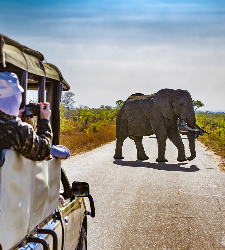 Voyage en Afrique du sud