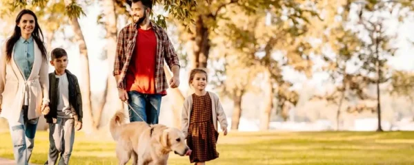 promener son chien en Espagne