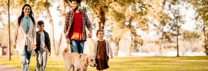 promener son chien en Espagne